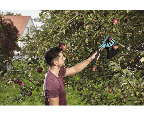 Een man oogst appels met een appelplukker in de tuin.