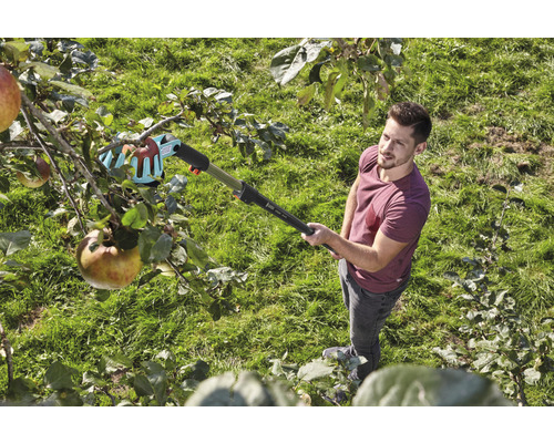 Man oogst appels van de boom met een fruitplukker