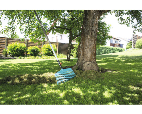 Tuin met gazon, boom en hark voor tuinieren
