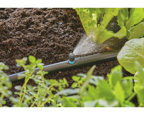 Irrigatiesysteem met druppelslang in de tuin