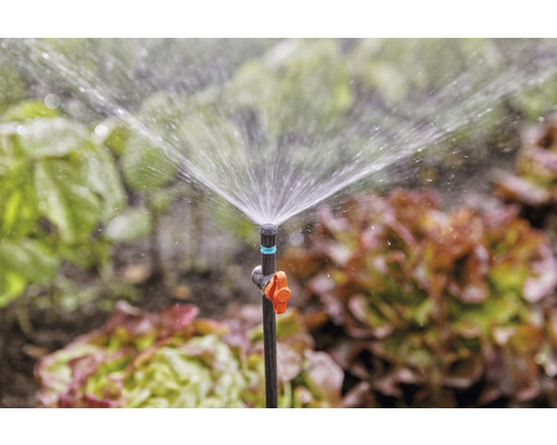 Tuinscene met een sproeier voor het besproeien van planten