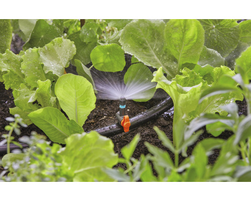 Irrigatiesysteem in de moestuin met slaplanten