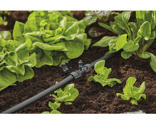 Irrigatiesysteem in een tuinbed met slaplanten