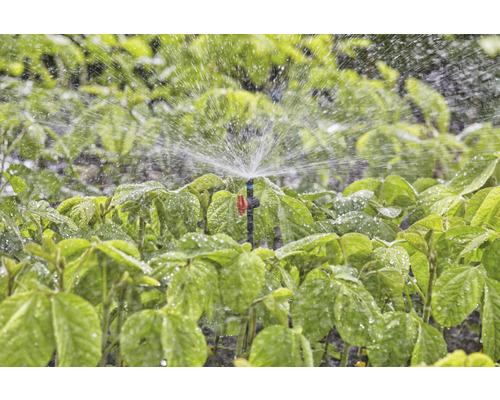 Irrigatiesysteem met sprinkler in gebruik voor tuinirrigatie