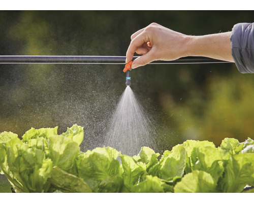 Tuinbesproeiing met druppelslang en sproeikop boven slakroppen