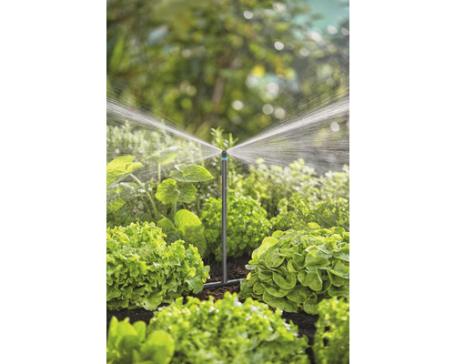 Tuinbewateringssysteem met sproeier in gebruik tussen sla planten.