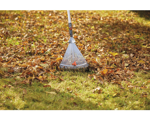 Bladhark op gazon met bladeren