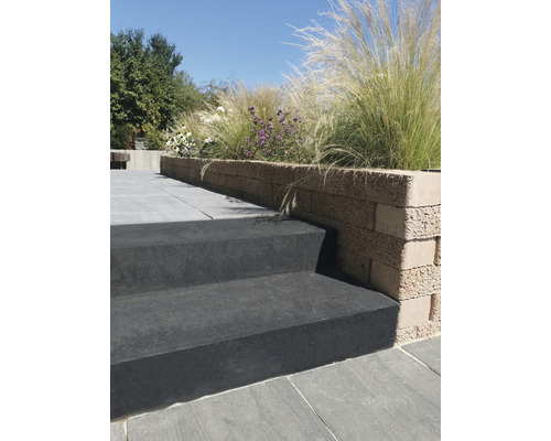 Tuin met trap van bloktreden en beplante muur