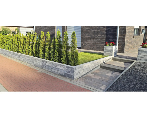 Aangelegde voortuin met muur, planten en bestraat pad