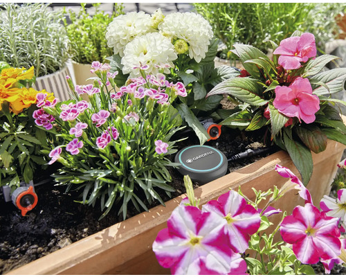 Bloembak met diverse bloemen en Gardena Micro-Drip-System voor irrigatie
