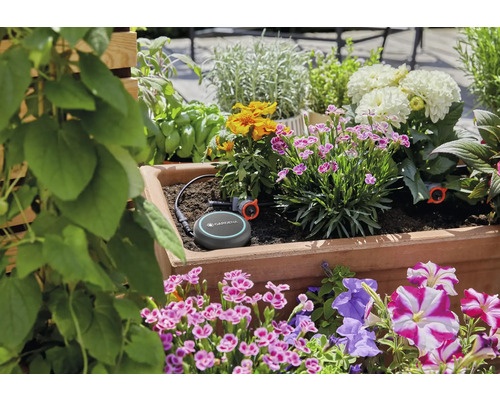 Gardena Smart Irrigation Control System in een bloembak met verschillende planten