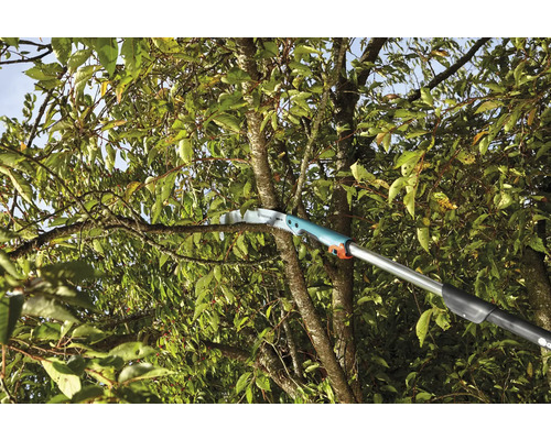 Telescopische tuinzag bij het snoeien van een tak