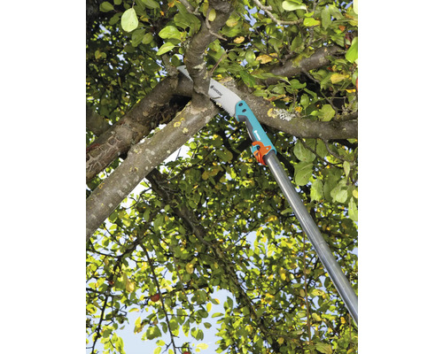 Gardena takkenzaag in gebruik op een boomtak