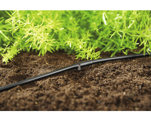 Irrigatieslang in de tuin met waterdruppels