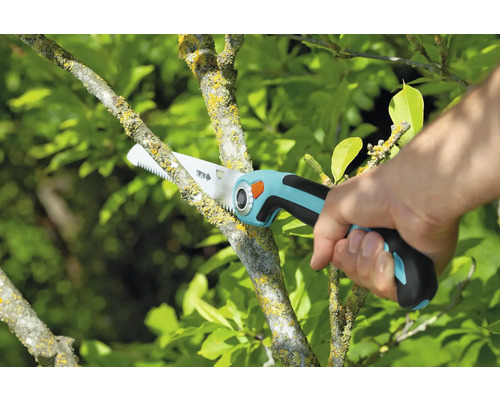 Tuinzaag in gebruik voor het snoeien van een tak
