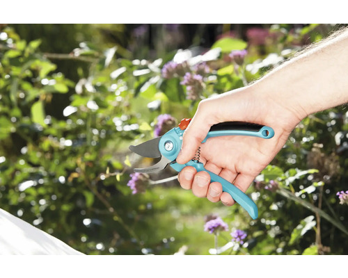 Een hand houdt een tuinschaar vast voor een tuin.