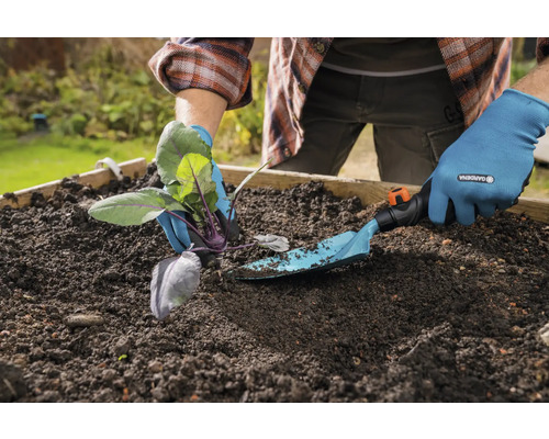 Persoon plant koolrabi met een tuinschep in een verhoogde tuinbak.