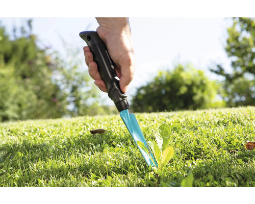 Tuinonkruidsteker in gebruik voor het verwijderen van onkruid in het gazon.