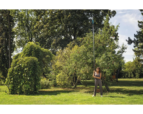 Vrouw oogst appels met een fruitplukker in een tuin