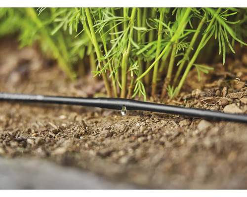 Druppelslang van het irrigatiesysteem met een waterdruppel bij planten