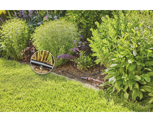 Druppelirrigatiesysteem in de tuin voor plantenirrigatie