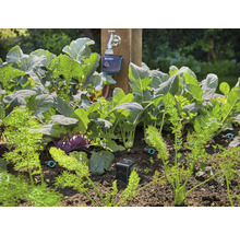 GARDENA Smart Water Control-thumb-1 GARDENA Smart Water Control-thumb-1