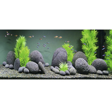 Aquarium met decoratie van stenen en planten en vissen