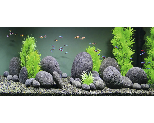 Decoratief aquarium met stenen, planten en vissen
