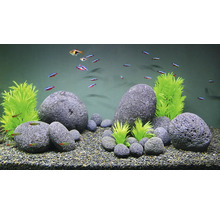 Aquarium met vissen, stenen en kunstplanten