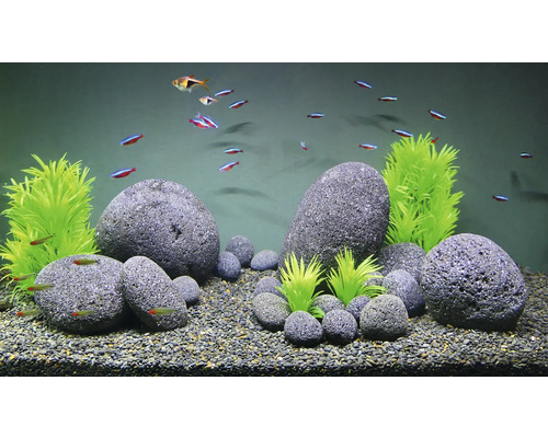 Aquarium met vissen, stenen, grind en kunstplanten