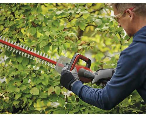 Een persoon snoeit een haag met een heggenschaar.
