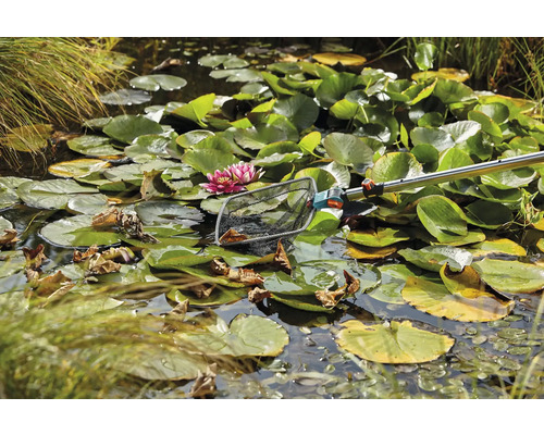 Vijver met waterlelies en een schepnet voor de reiniging