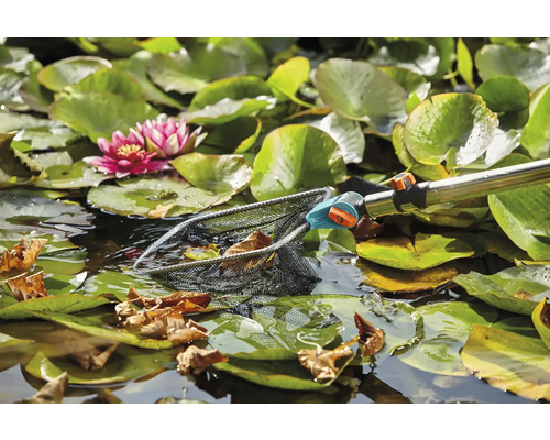 Vijver met waterlelies en vijvernet