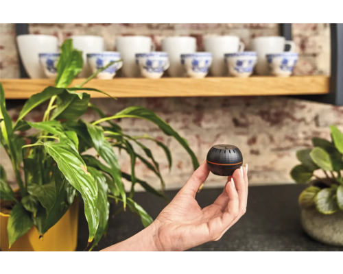 Een hand houdt een ronde, zwarte plantensensor vast voor een kamerplant en bekers.