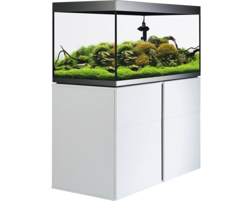 Aquarium met onderkast en interieur