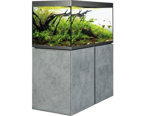 Aquarium met onderkast, beplant en met vissen