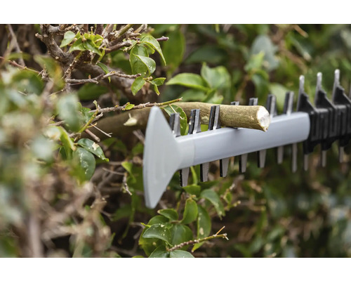 Heggenschaar knipt tak