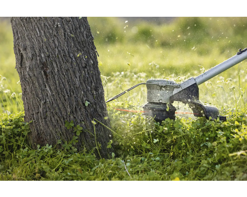 Grastrimmer in gebruik rondom een boom.
