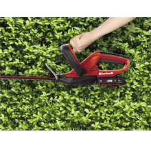 Einhell heggenschaar in gebruik voor een groene haag