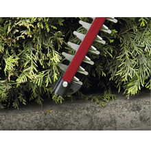 Close-up van een heggenschaar die een haag snoeit