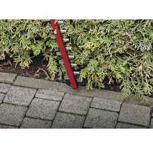 Heggenschaar die een haag snoeit