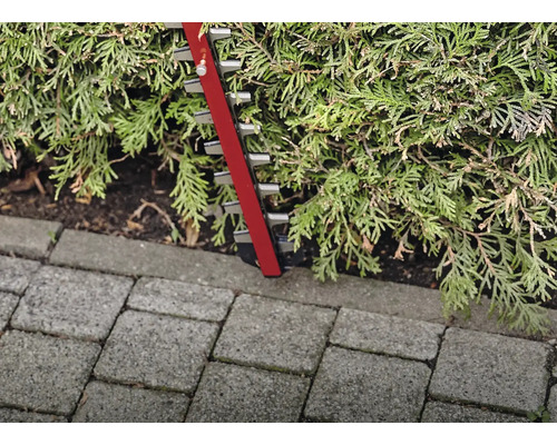 Heggenschaar die een haag snoeit