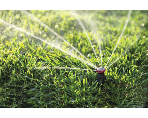 Tuinsproeier die het gazon besproeit