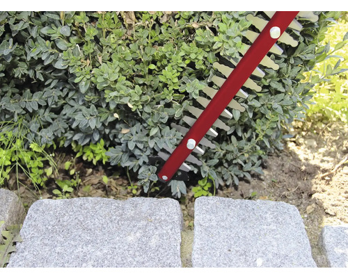 Heggenschaar bij het snoeien van een haag