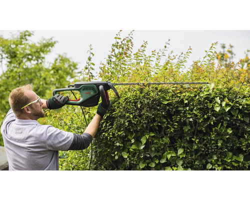 Man snoeit heg met een heggenschaar