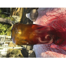 Decoratieve glazen fles om te ontwerpen