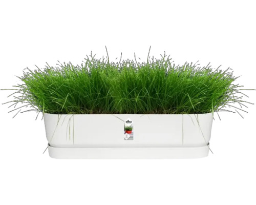 Langwerpige plantenbak met gras