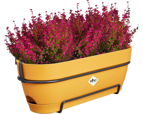 Kunststof bloembak met heideplanten en beugel