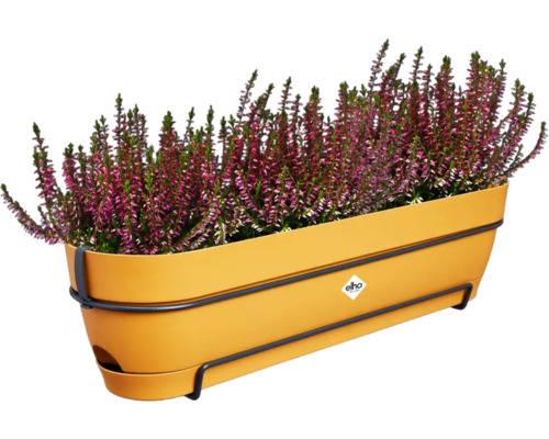 Heide in gele plantenbak met beugel