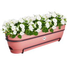 Bloembak met witte bloemen en Elho Logo